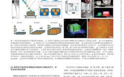 WTO贸易救济措施，规则如何平衡公平与自由？