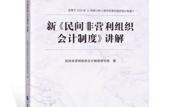 非盈利组织会计问题有哪些关键难点？