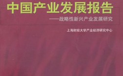 战略性新兴产业发展研究