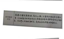 调查研究指导教师评语