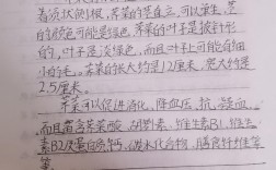 近三年蔬菜种植技术研究论文参考文献精选与最新农业科技应用分析