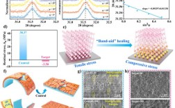 OpenMV研究参考文献有哪些核心方向？
