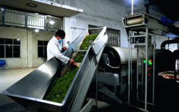 茶叶出口国内研究动态如何？