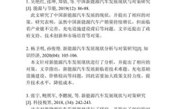 偏远地区发展现状研究，基于多学科参考文献的综合分析报告