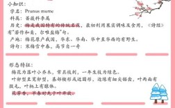 李清照梅花论文有何独特研究价值？