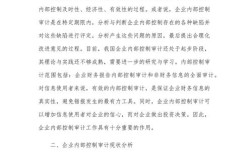 内部控制案例揭示了哪些典型问题？