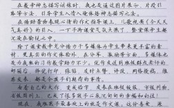 教育改革论文1500字的核心争议是什么？