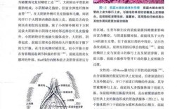 生殖参考文献有哪些关键研究方向？