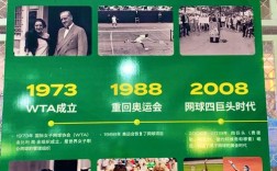 网球运动的文化价值体现在哪些方面？