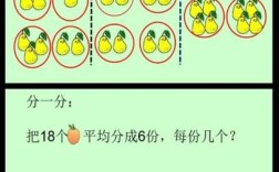 物体等分，如何科学设计教育活动？