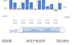 净资产收益率参考文献有哪些核心观点？