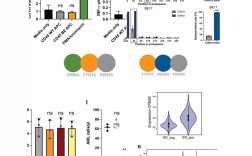 SCI查重会查图表和参考文献吗？