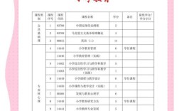 小学教育职业的核心价值是什么？