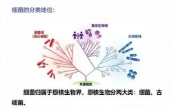 菌物研究所为何重要？