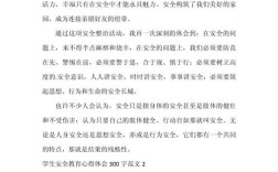 筑牢校园安全防线，护航学生健康成长——小学生安全教育活动总结与成效反思