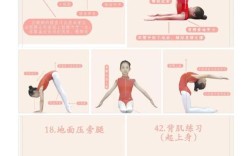 舞蹈教育动作肢体特点有哪些核心要素？