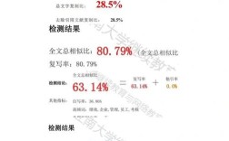 论文参考文献维普查重吗？