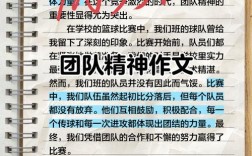 团队精神参考文献有哪些核心观点？