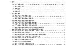 公司会计问题及对策研究