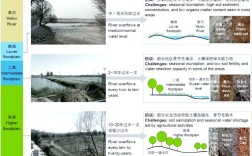 受损生态系统修复有何关键参考文献？