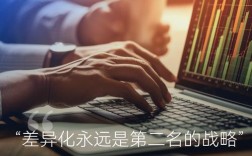 差异化战略参考文献有哪些？