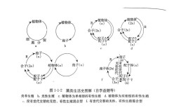 藻世代计算参考文献有哪些关键应用？