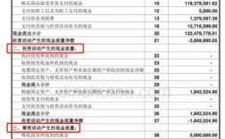 现金流量分析参考文献有哪些经典？