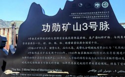 新疆地质研究单位有哪些？