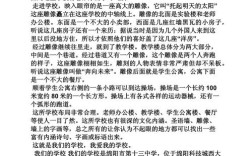 素质教育如何真正落地校园？