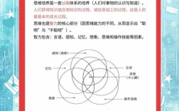 时空观念培养研究目标如何精准定位？