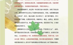 教育扶贫政策宣传如何精准落地见效？