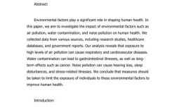 国内研究现状 英语翻译