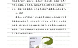 小学信息科技教育论文