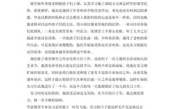 学前比较教育实践报告有何核心发现？