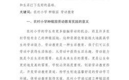 小学农村教育研究论文