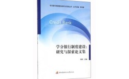 制度建设银行问题研究，如何优化？