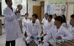 数字解剖研究中的应用