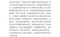 入党教育主题班会总结