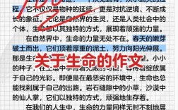生命教育论文题目有哪些方向可选？