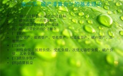 国外绿色会计理论研究的核心是什么？