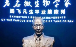 组织承诺由哪位研究者提出？