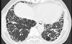 摄影影像参考文献有哪些经典推荐？