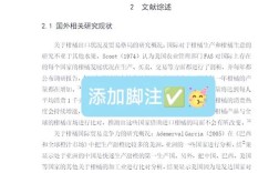 毕业论文脚注和参考文献
