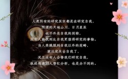 夏目漱石文学创作研究