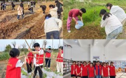 教育政策如何助力劳动社会实践落地？