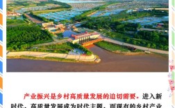 乡村振兴政策研究如何加强？