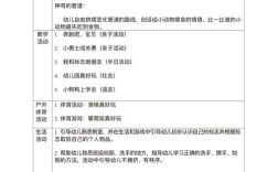 幼儿园教育活动方案如何设计更有效？