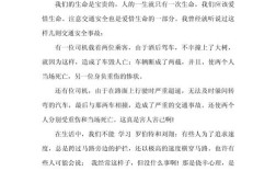 交通安全教育参考文献有哪些关键内容？