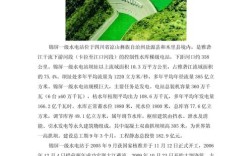 水电厂参考文献有哪些关键研究方向？