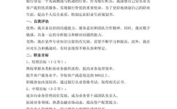 银行绩效考核研究现状存在哪些核心争议？